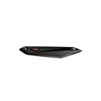 Akrapovic Carbon Fiber Heat Shield BMW F 900 R / XR